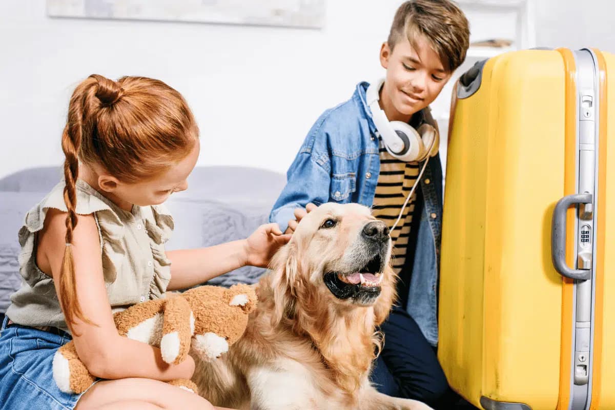 Prima Vacanza con il Cane: la Guida Completa per Non Sbagliare Niente