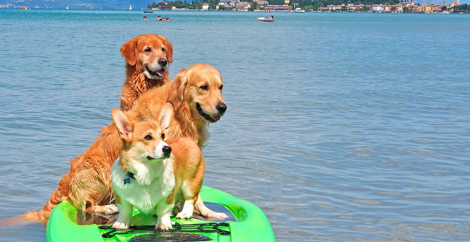 Weekend Dog-Friendly sul Lago di Garda: Avventura e Relax