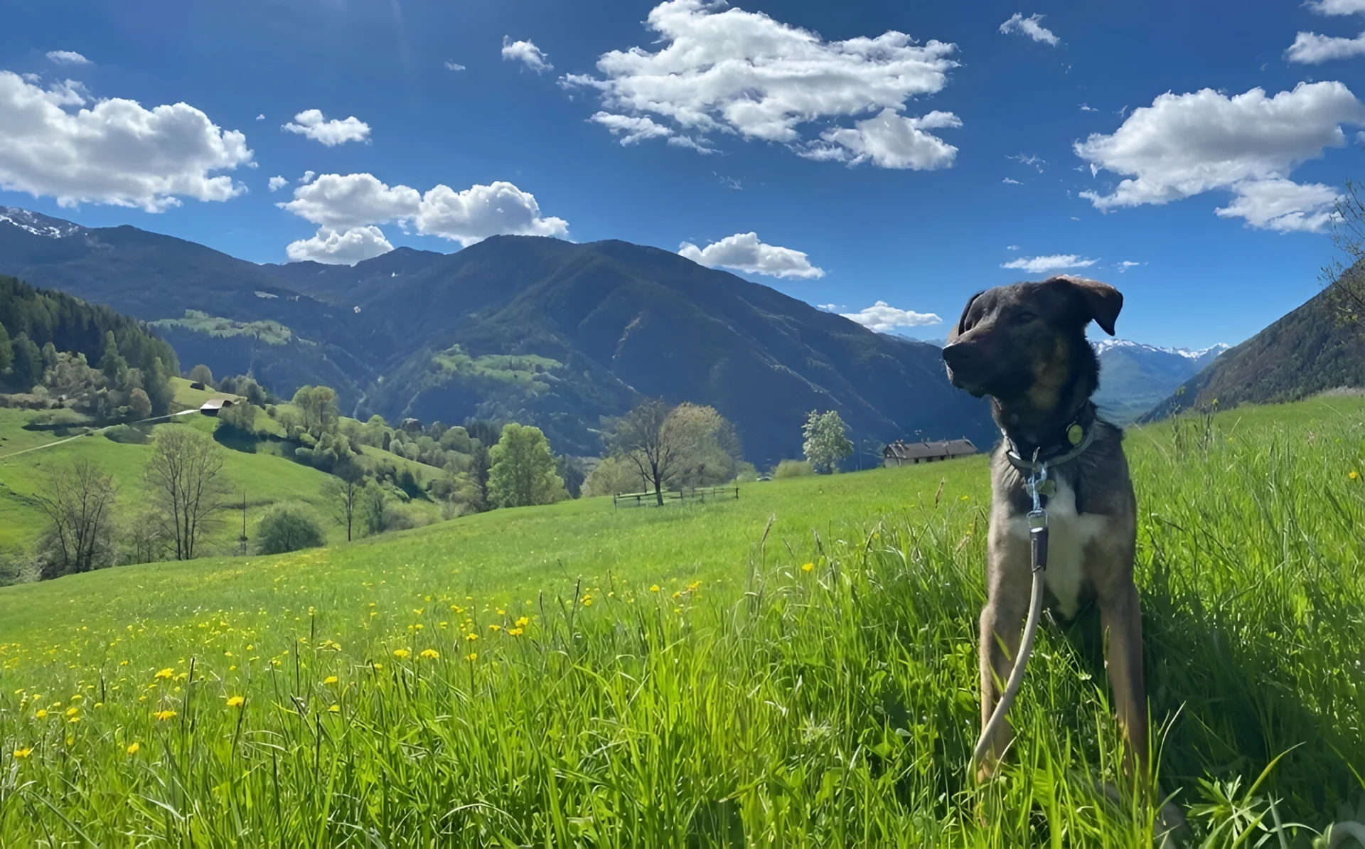 TEST Frontend - trip