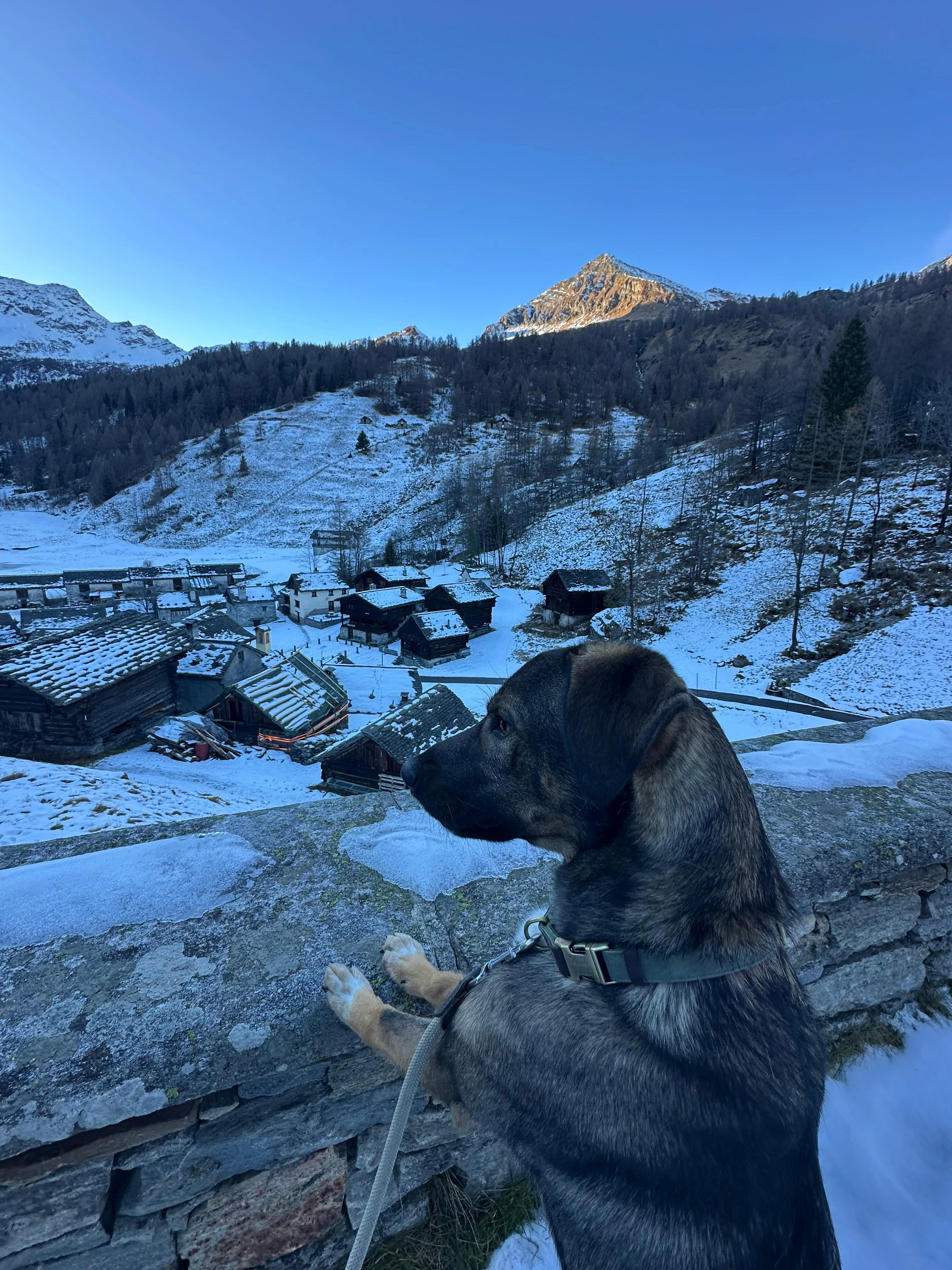 TEST Frontend - experience